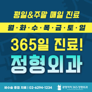 B1A4B8EDC3B4C3B4 C7C3B7B9C0CCBDBA B9E8B3CA 1